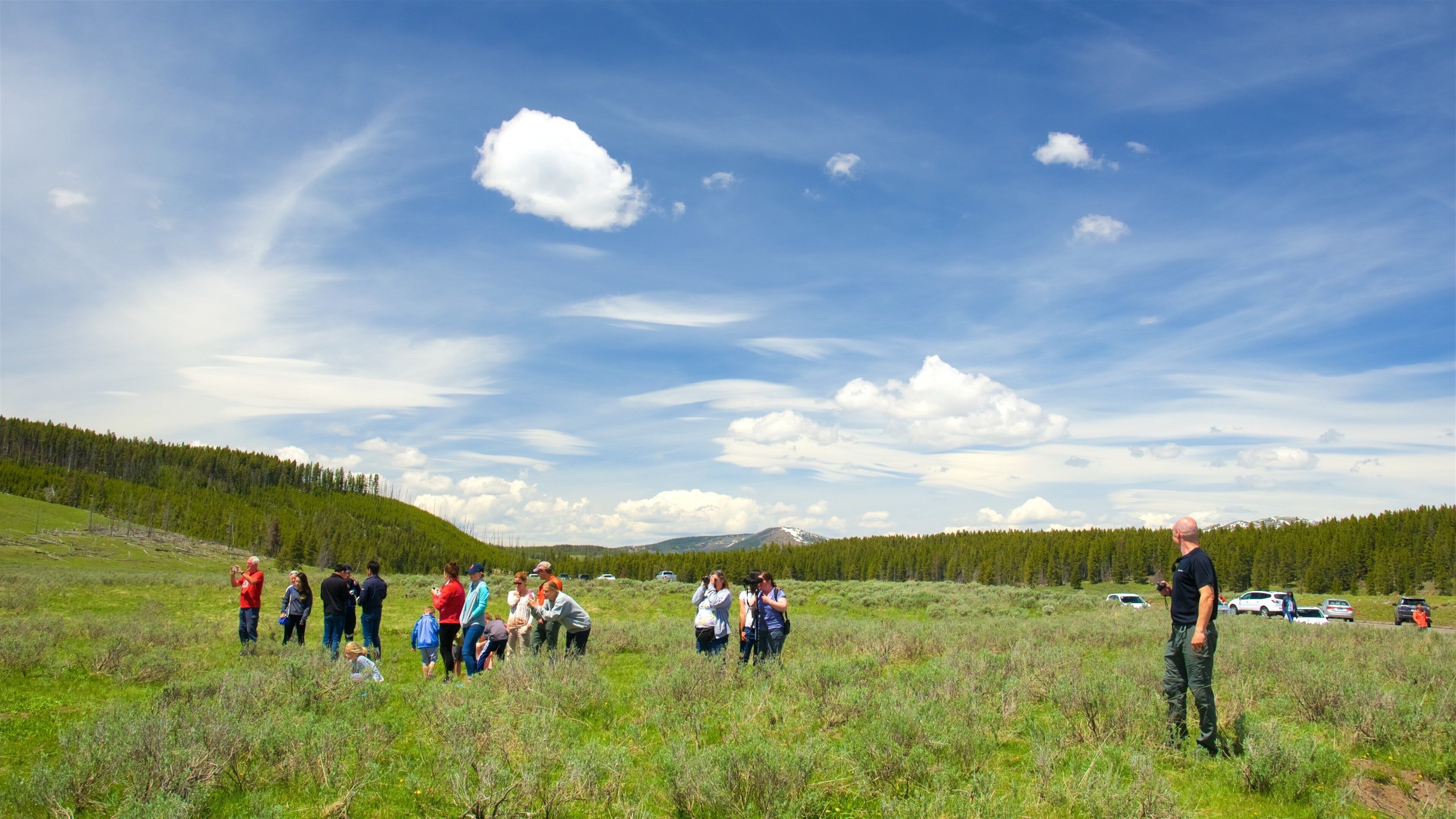 Hayden Valley toont vredige uitzichten en ook een klein groepje mensen