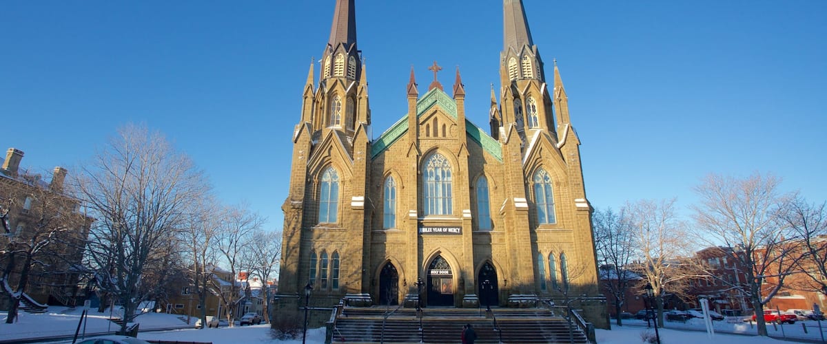 St. Dunstan\'s Basilica which includes a church or cathedral and snow