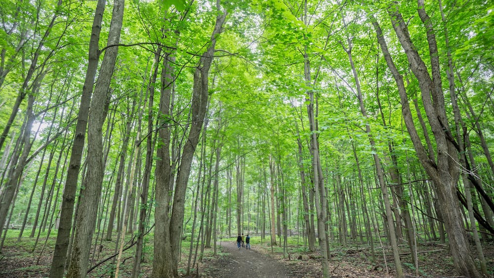 Oka National Park Quebec Canada
