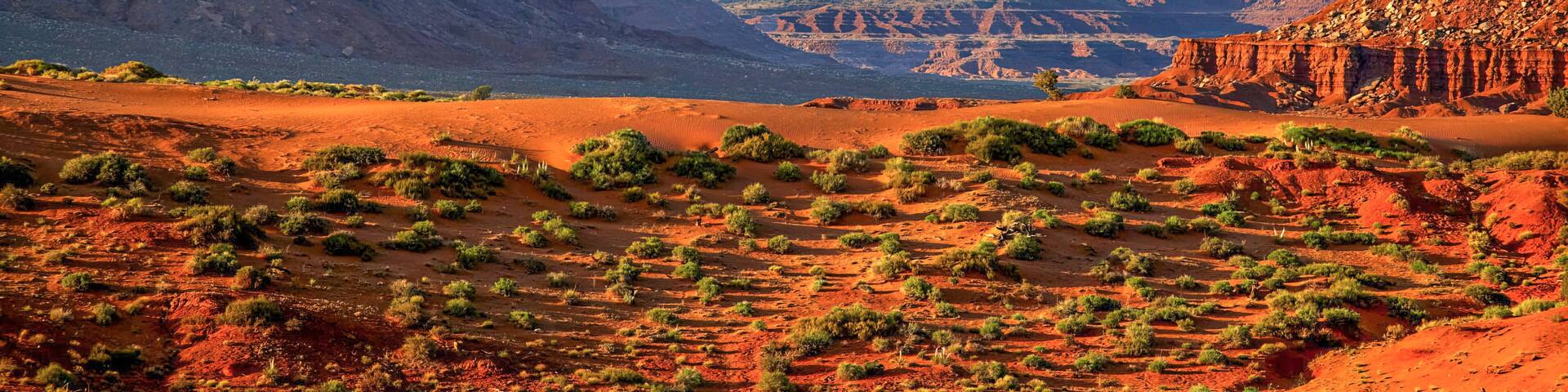 Monument Valley View from Artist`s Point