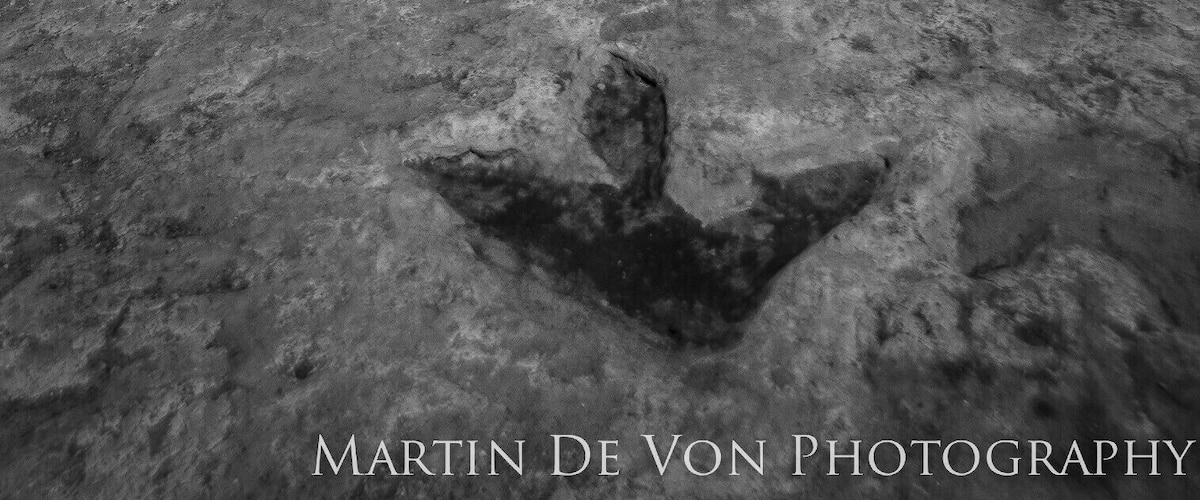 A great visit if you're in the area! I had a great experience with the Navajo guide who really was into the history. He was no paleontologist, but nonetheless informative in his own right. The place is free but I strongly recommend a decent tip of $10 to your guide. They sell locale Navajo crafts and jewelry there as well.  
Well worth the trip!