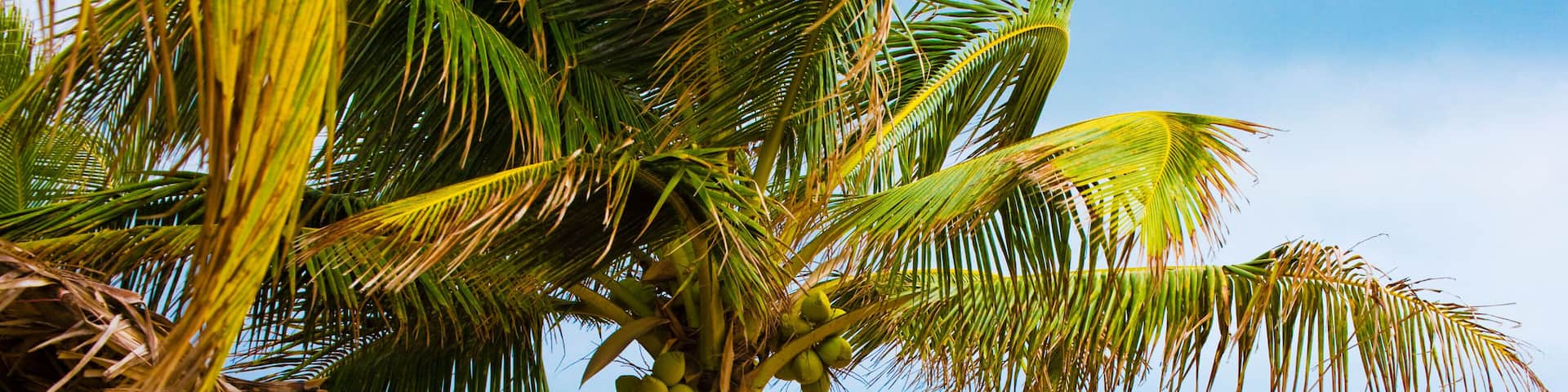 Sanyang Beach in The Gambia. A mono version of this image is available at ref. B0728C. Image shot 08/2007. Exact date unknown.