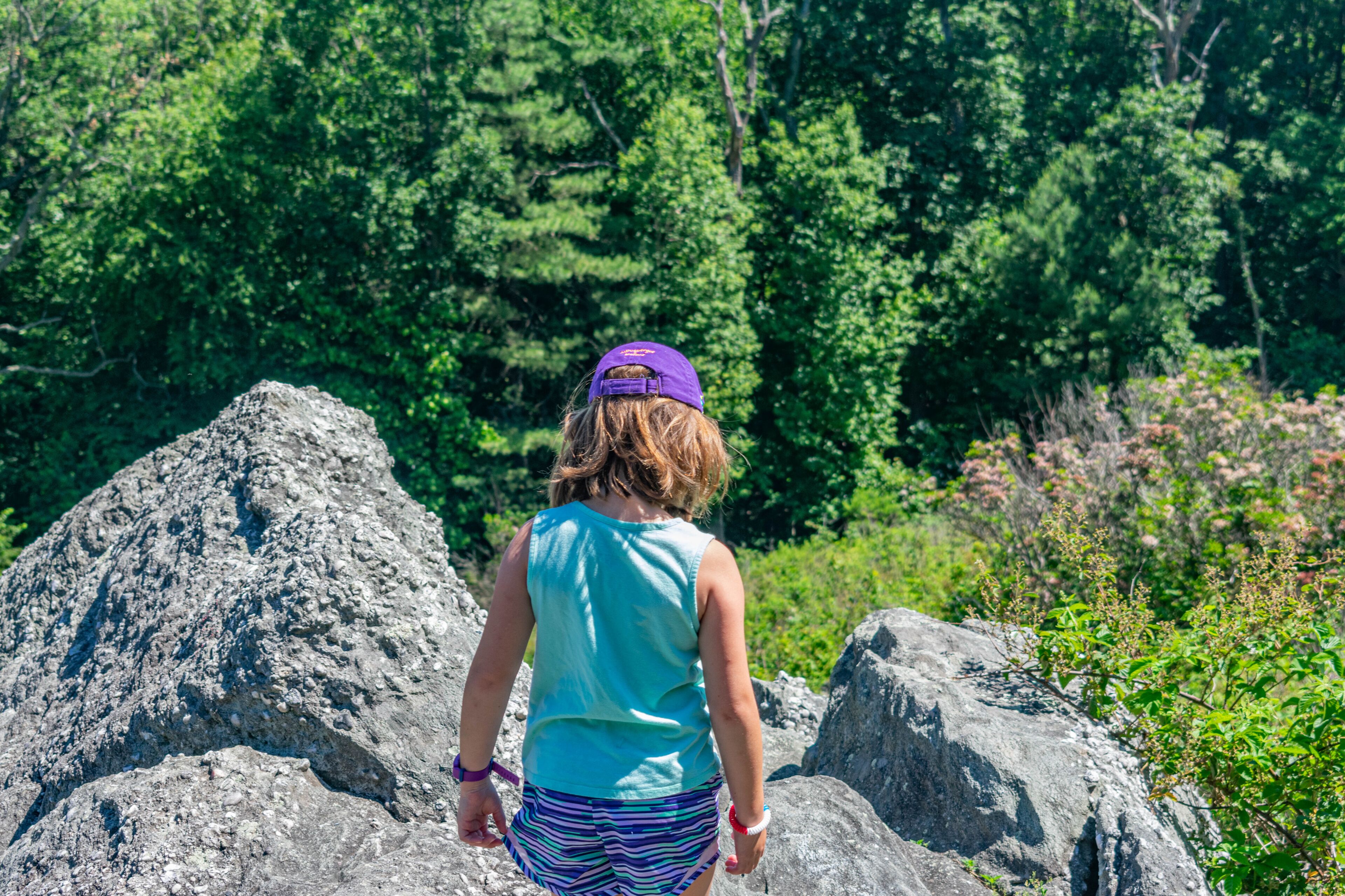Hiking Rocky Ridge Park in York, PA 