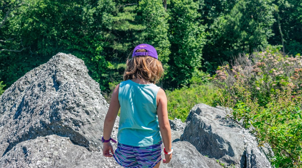 Hiking Rocky Ridge Park in York, PA