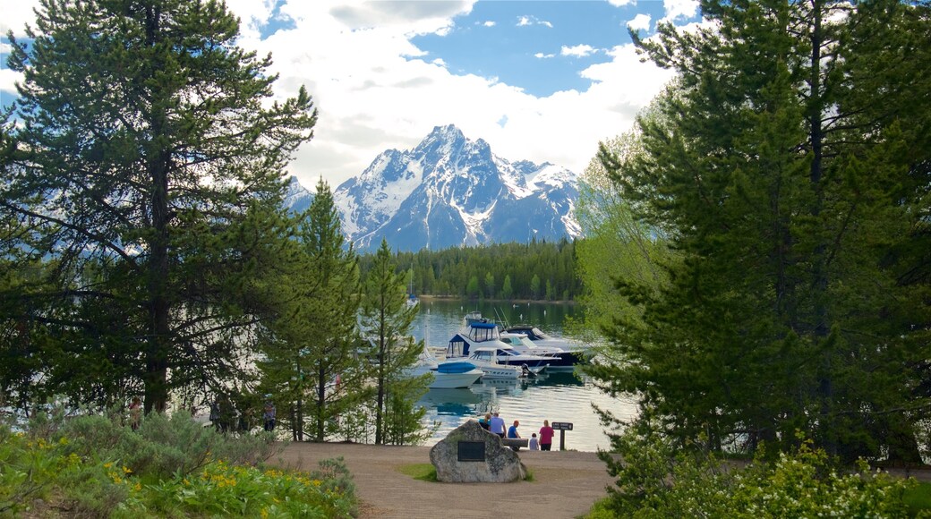 Colter Bay Marina featuring a bay or harbour, a lake or waterhole and mountains