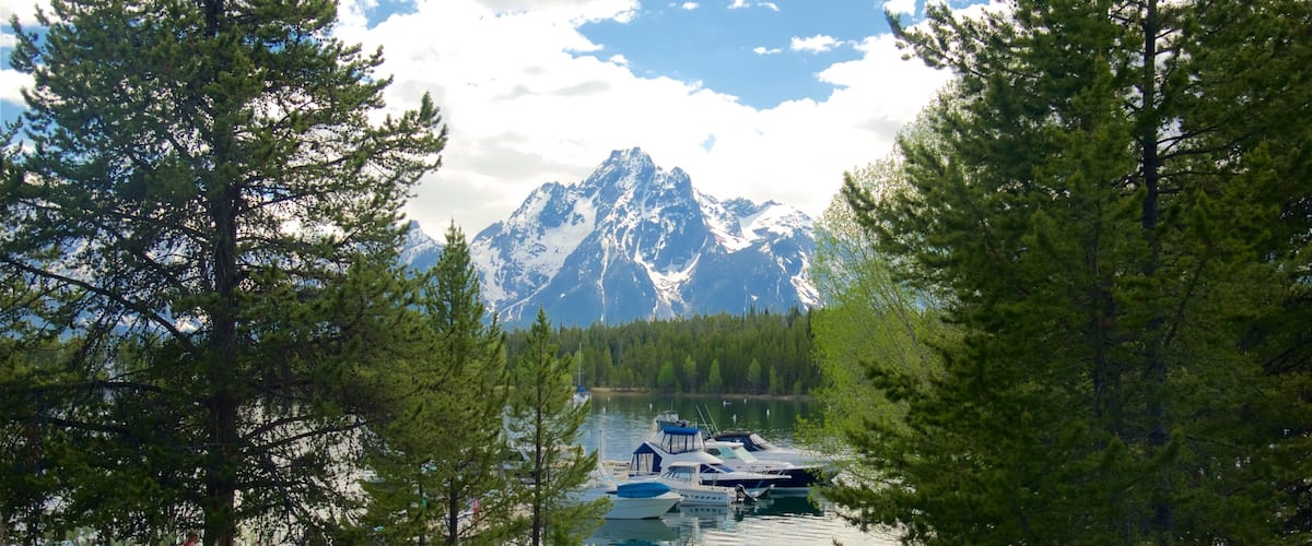 Colter Bay Marina mit einem See oder Wasserstelle, Berge und Bucht oder Hafen