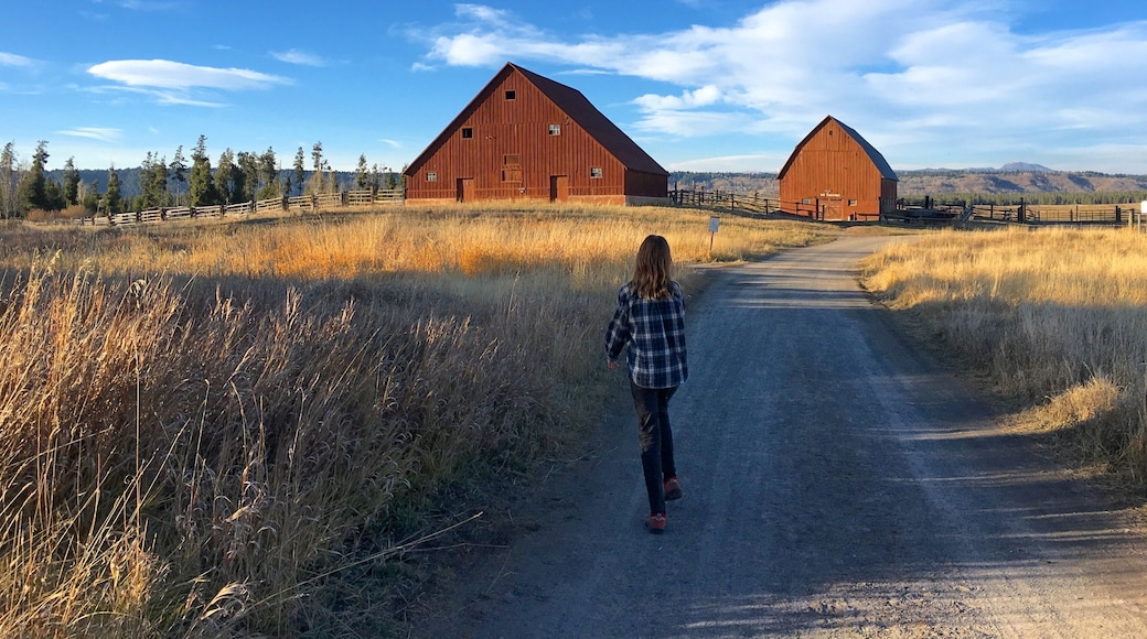 Harriman State Park in Idaho is just outside Yellowstone's border. We rented the bunkhouse with eight (!) other families for a weekend of hiking, mountain biking, and Nerf battles. Plus, a whole lot of eating. There are also a couple yurts and smaller cabins for rent.