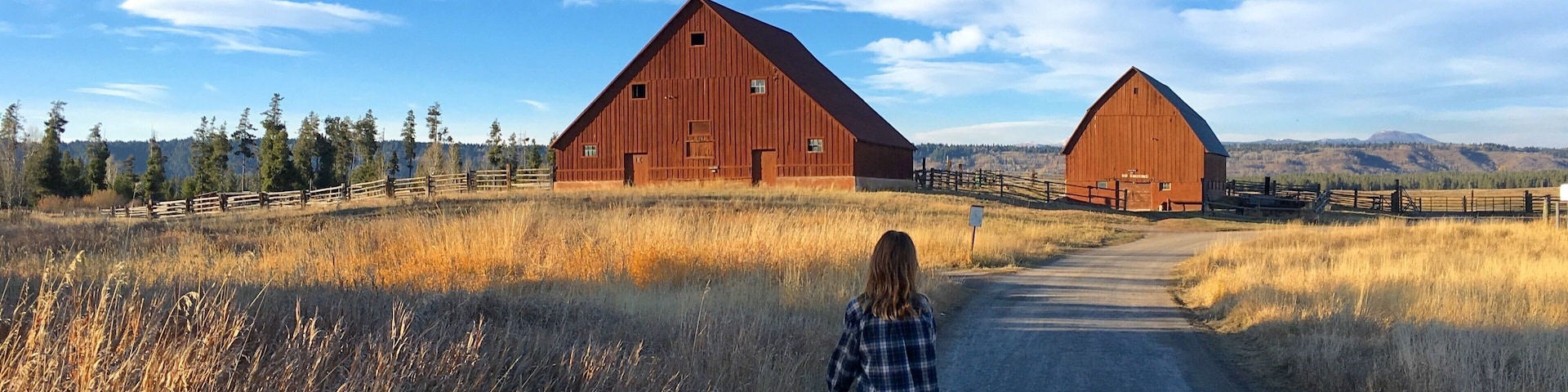 Harriman State Park in Idaho is just outside Yellowstone's border. We rented the bunkhouse with eight (!) other families for a weekend of hiking, mountain biking, and Nerf battles. Plus, a whole lot of eating. There are also a couple yurts and smaller cabins for rent.