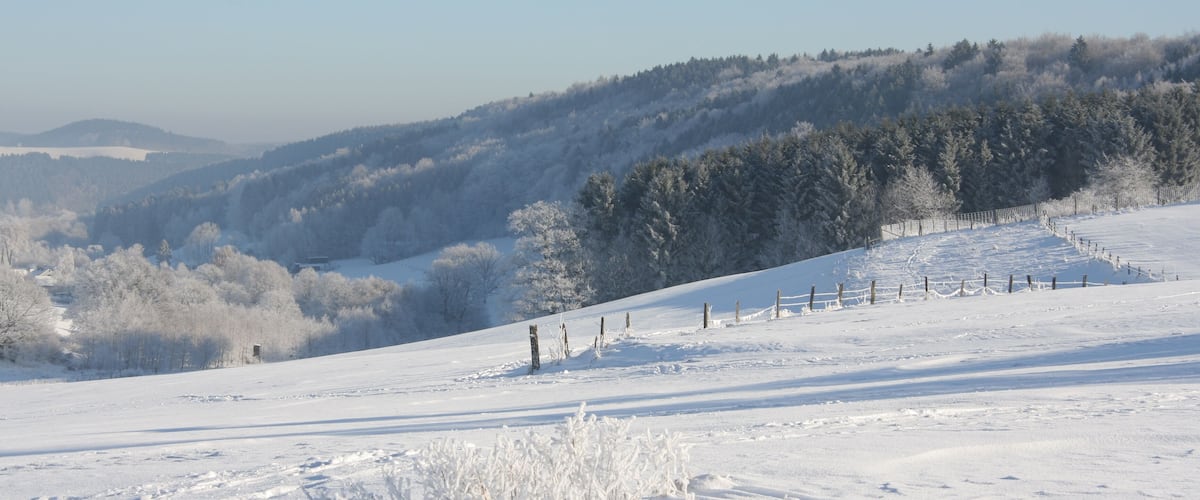A snow-covered landscape with a fence and trees.