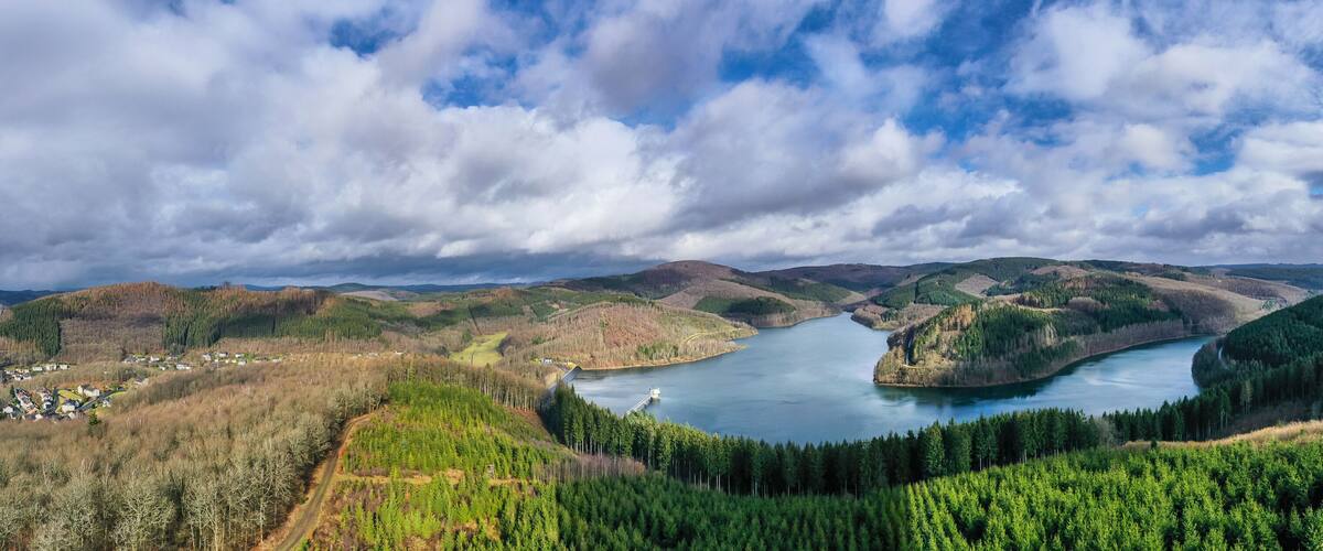A river winding through a forested valley with hills in the background.
