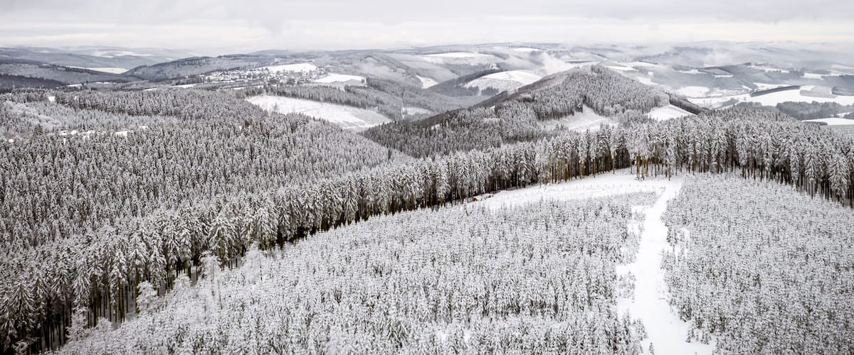 A snow-covered forest with a winding path.