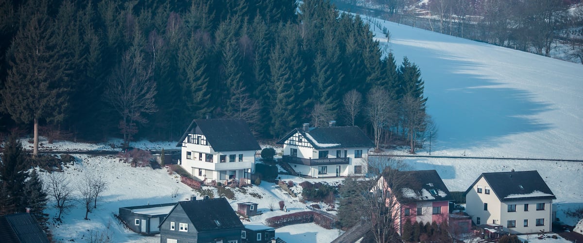 A snow-covered landscape with a lake, dense forest, and houses.