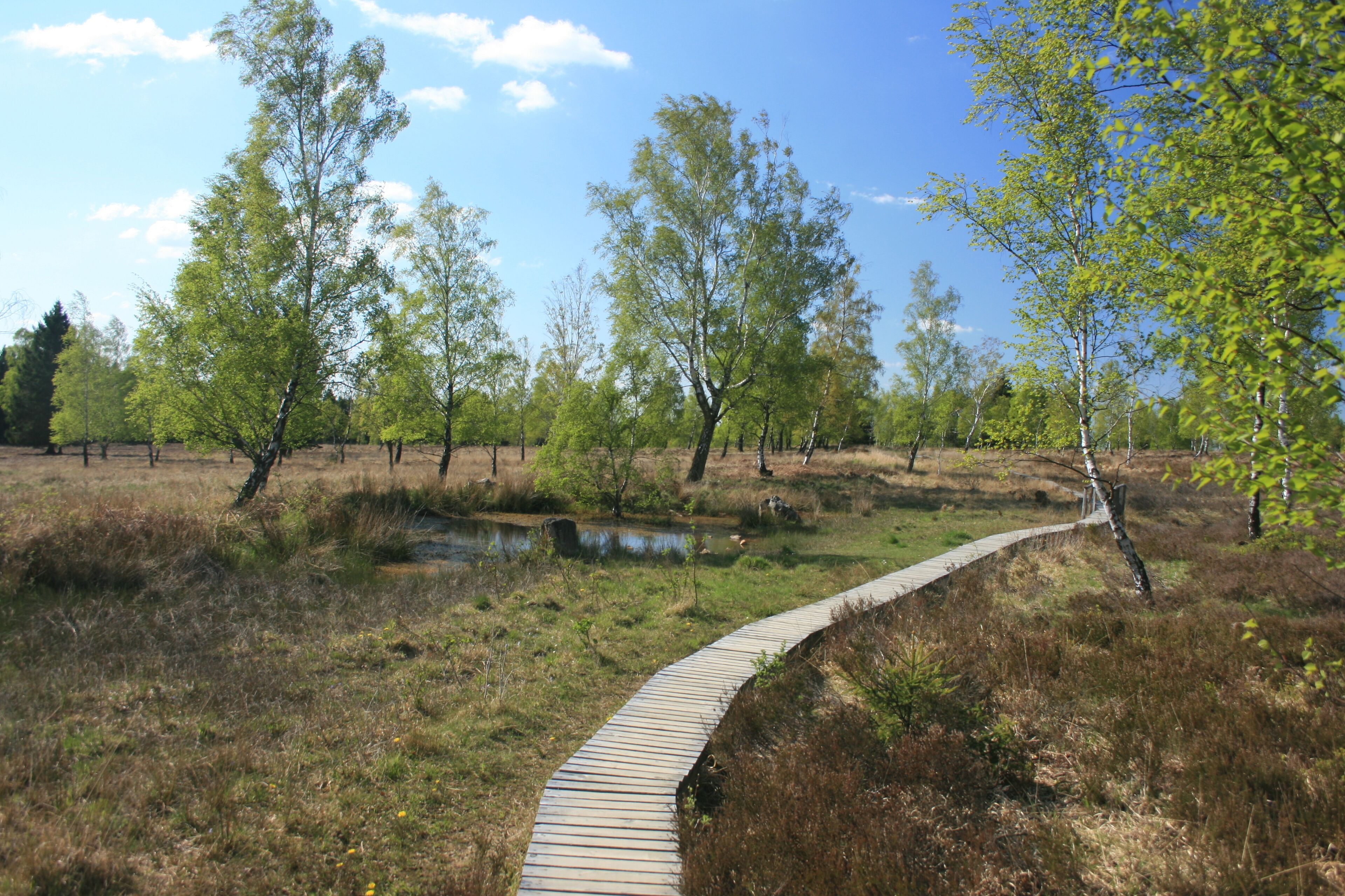 This is a picture of the protected area listed at WDPA under the ID