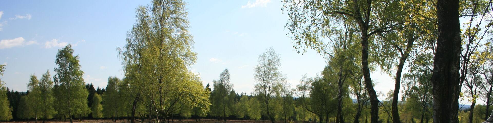 This is a picture of the protected area listed at WDPA under the ID