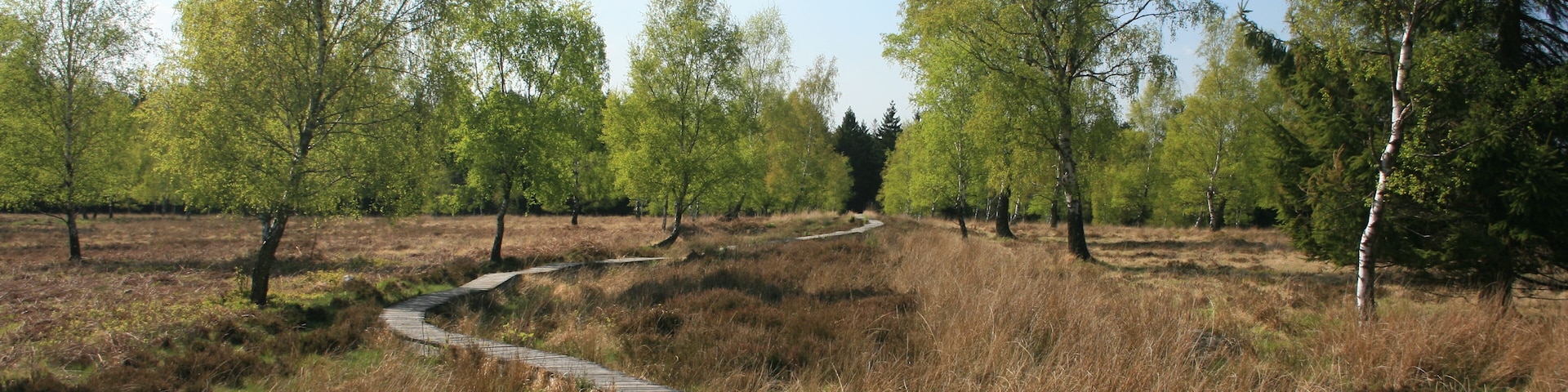 This is a picture of the protected area listed at WDPA under the ID