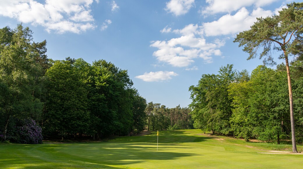 Pine Forest Country Club