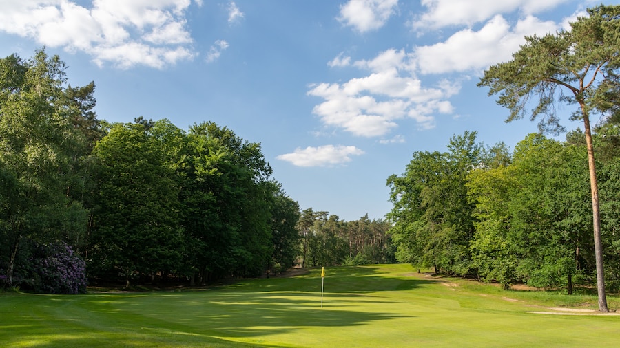 Pine Forest Country Club