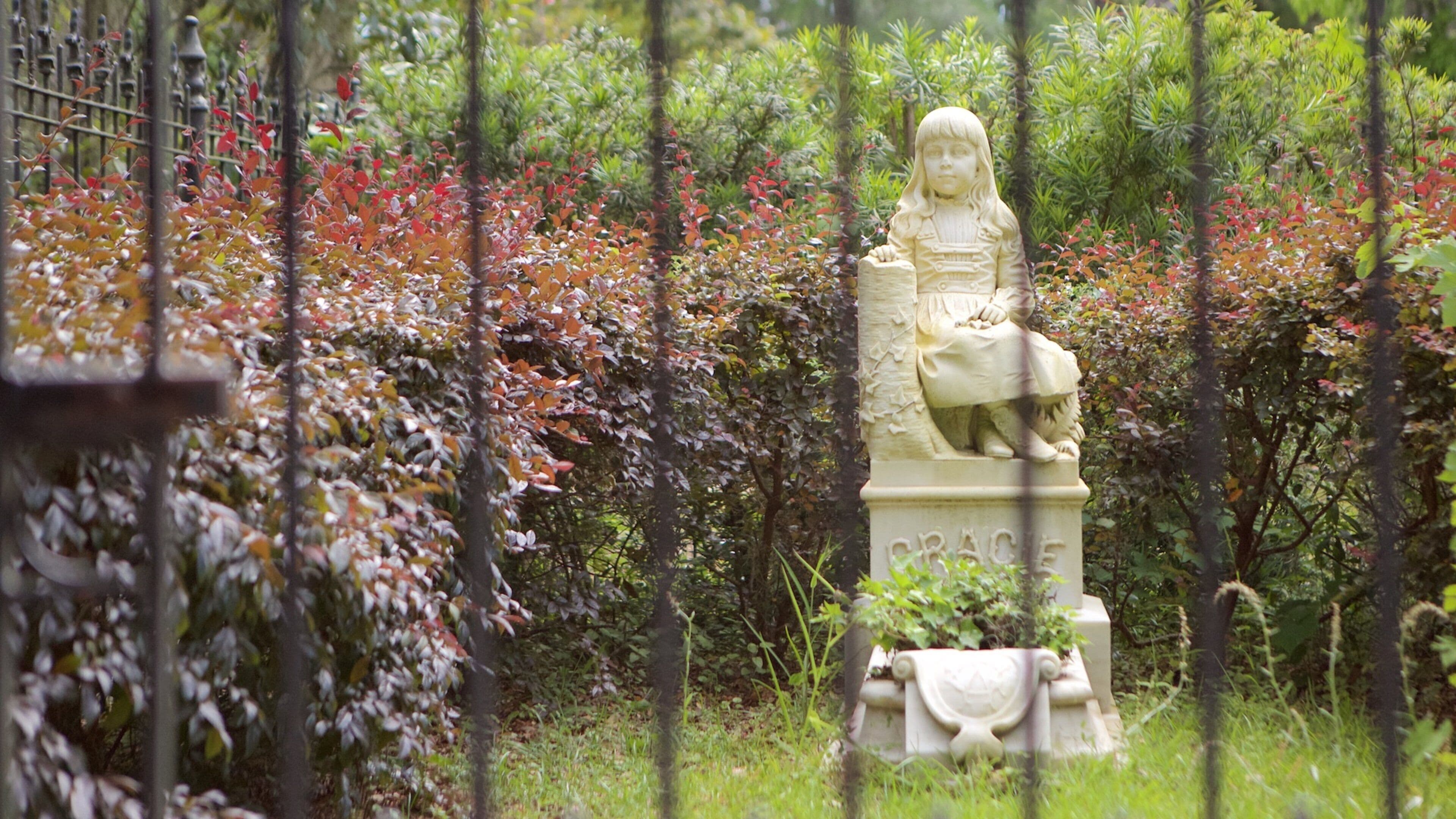 Bonaventure Cemetery showing a statue or sculpture and a park