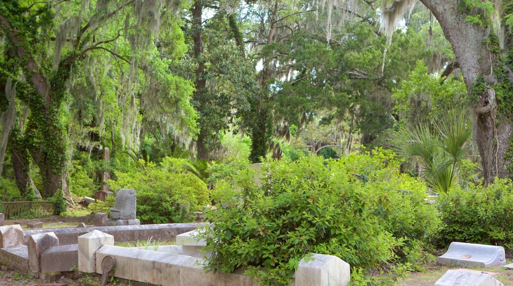 Bonaventures kyrkogård som visar en kyrkogård och skogar
