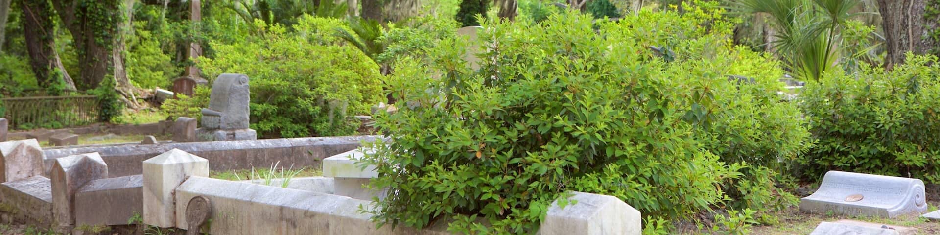 Bonaventure Cemetery showing a cemetery and forest scenes