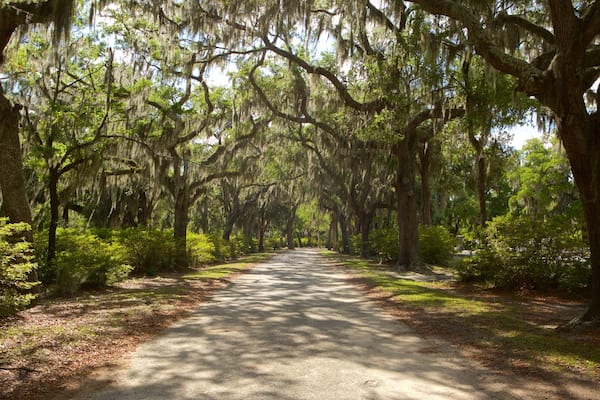 Cimetière Bonaventure