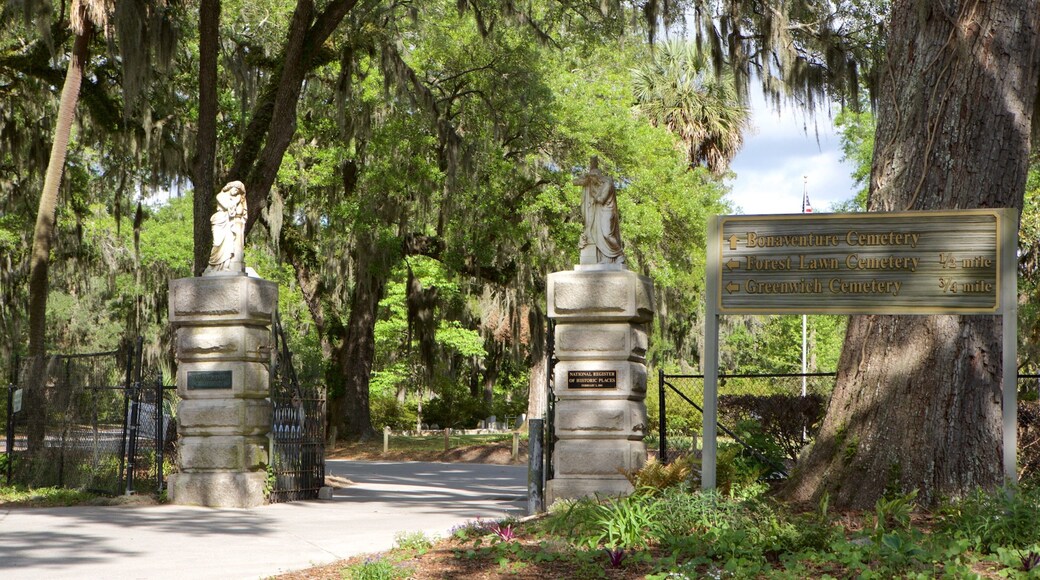 Bonaventure Cemetery which includes a cemetery