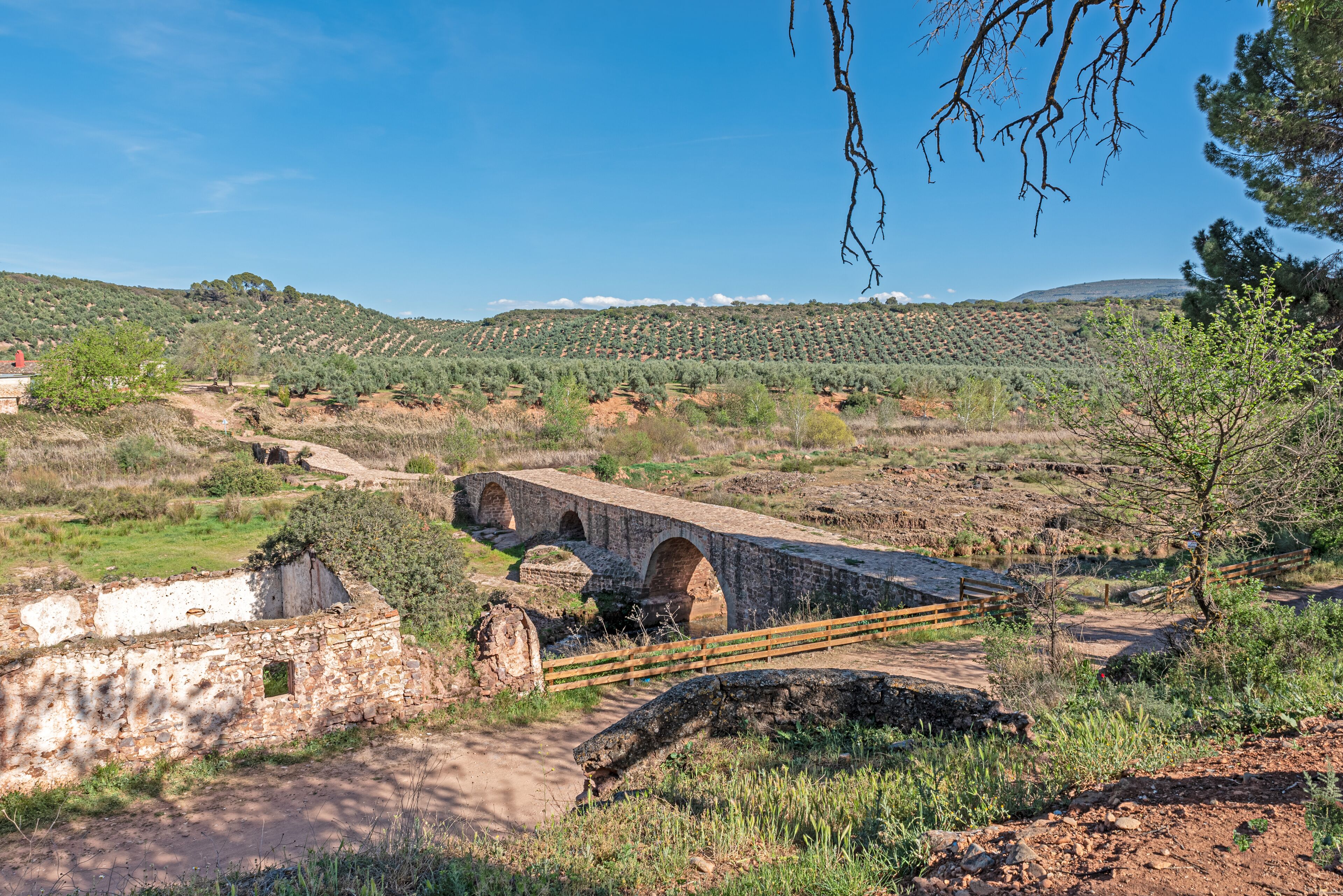 A stone bridge over a dry riverbed, surrounded by olive groves and hills.