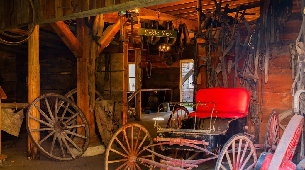 Three Valley Gap Ghost Town which includes interior views and heritage elements