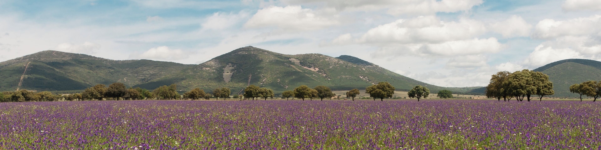 This is a photography of a Site of Community Importance in Spain with the ID: