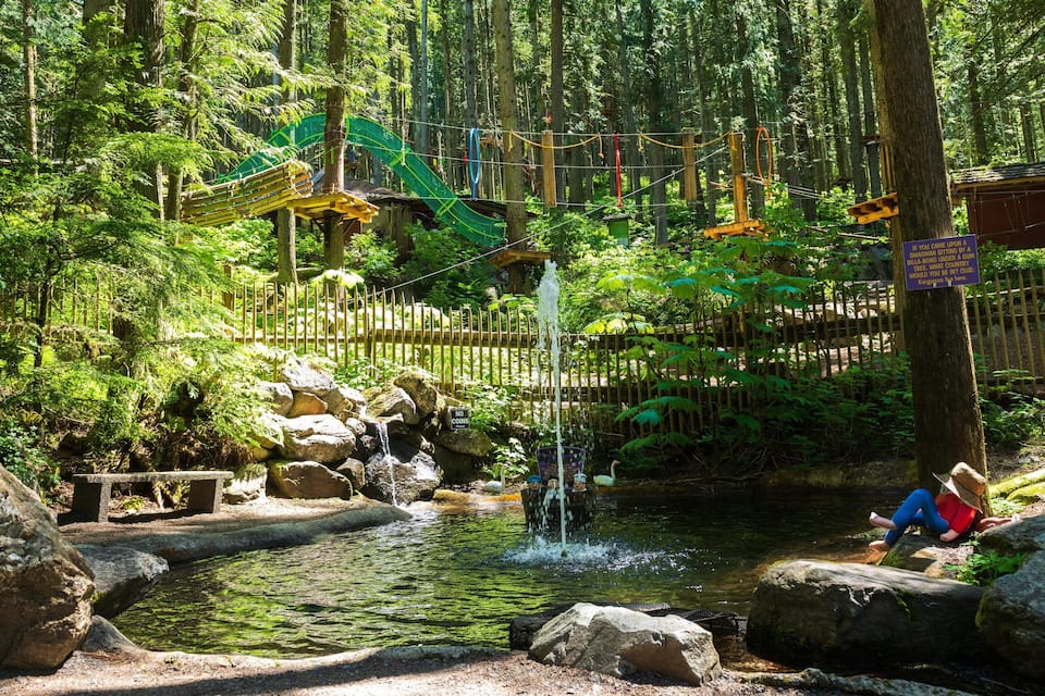 A forested area with a small waterfall, a rope bridge, and a sign about a kangaroo.