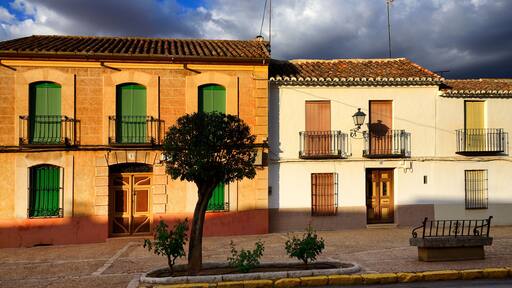 ๋น๋ผ๋์๋ฐ ๋ธ ๋ก์ค ์ธํํ
์ค