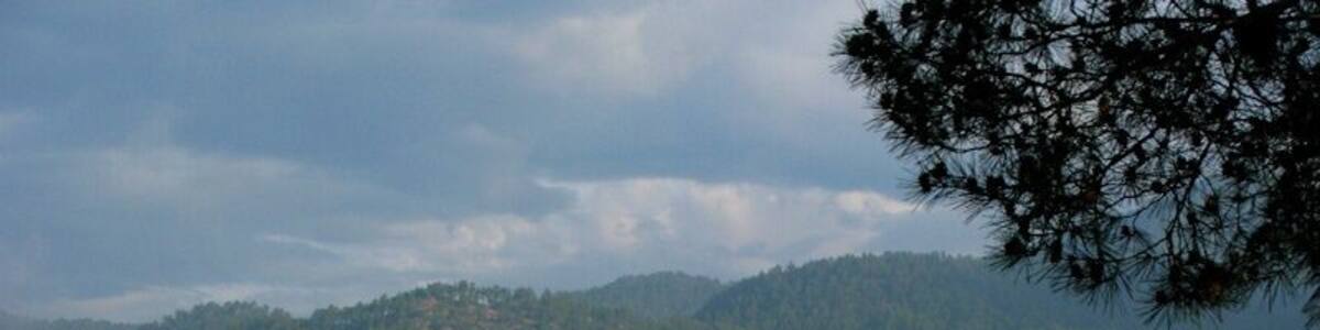 Can Pujol Vell (Artés)