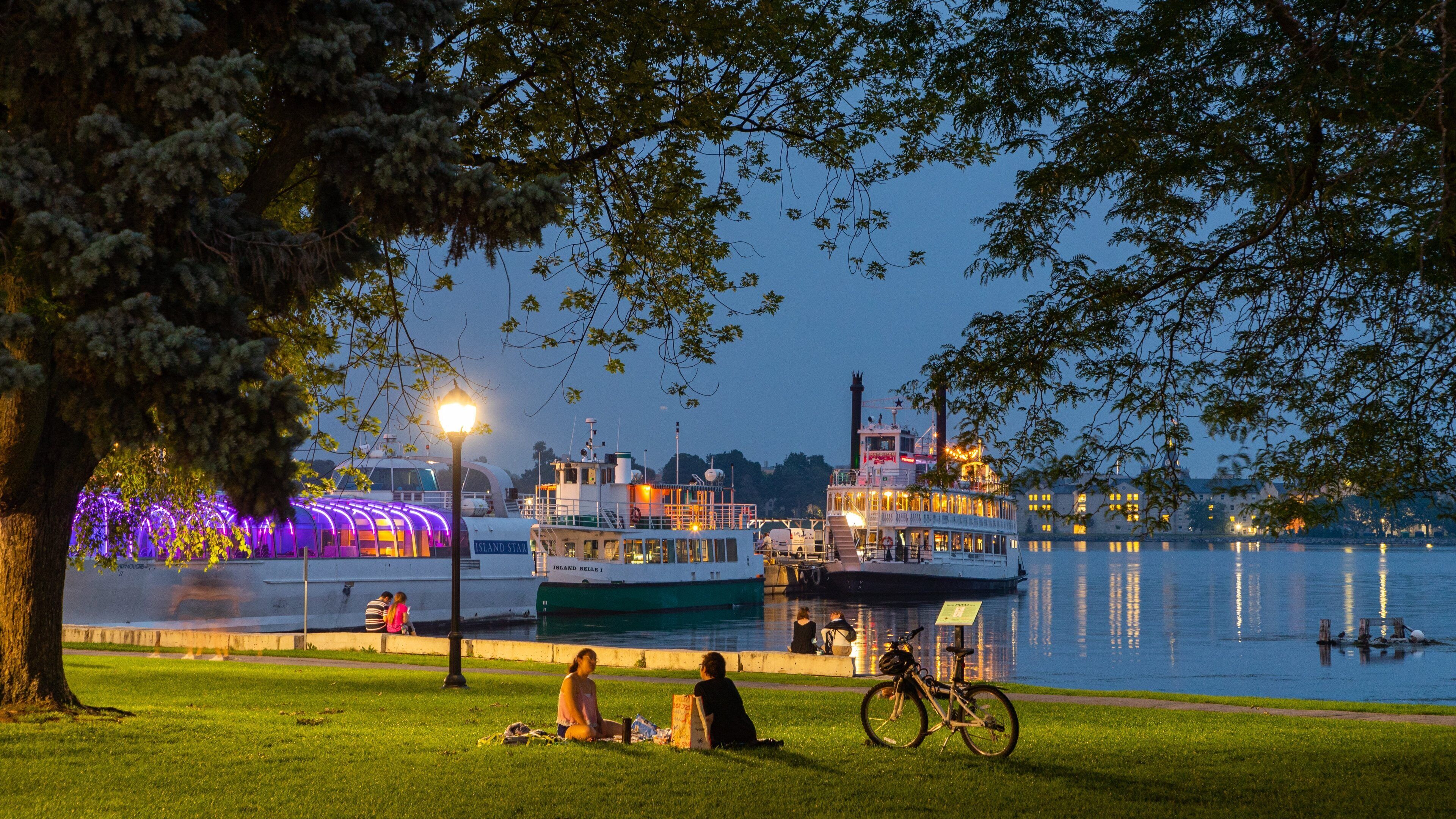Kingston City Hall showing a bay or harbor, night scenes and picnicing