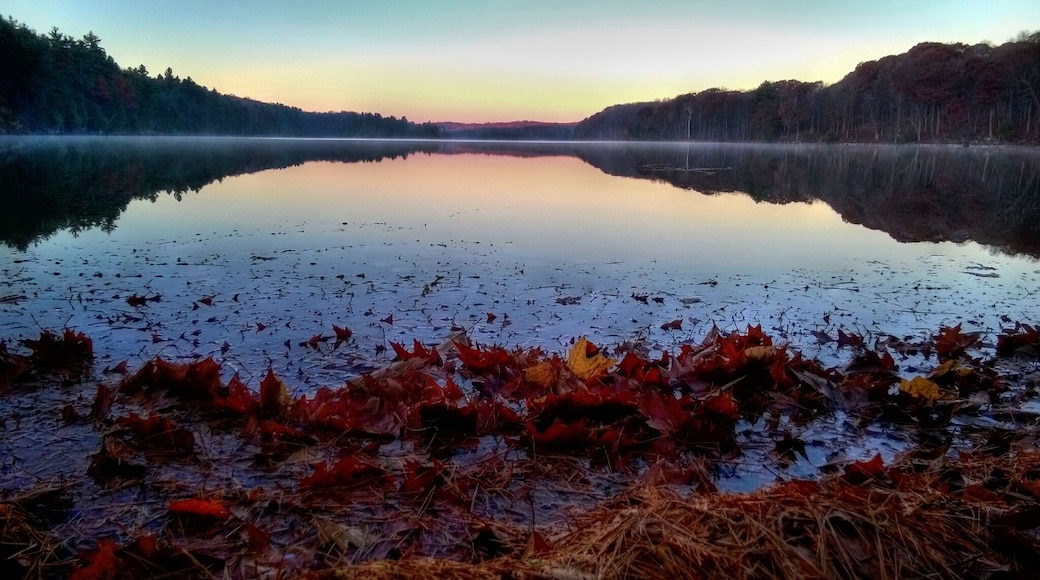 Early morning calm for an early November #camping trip.