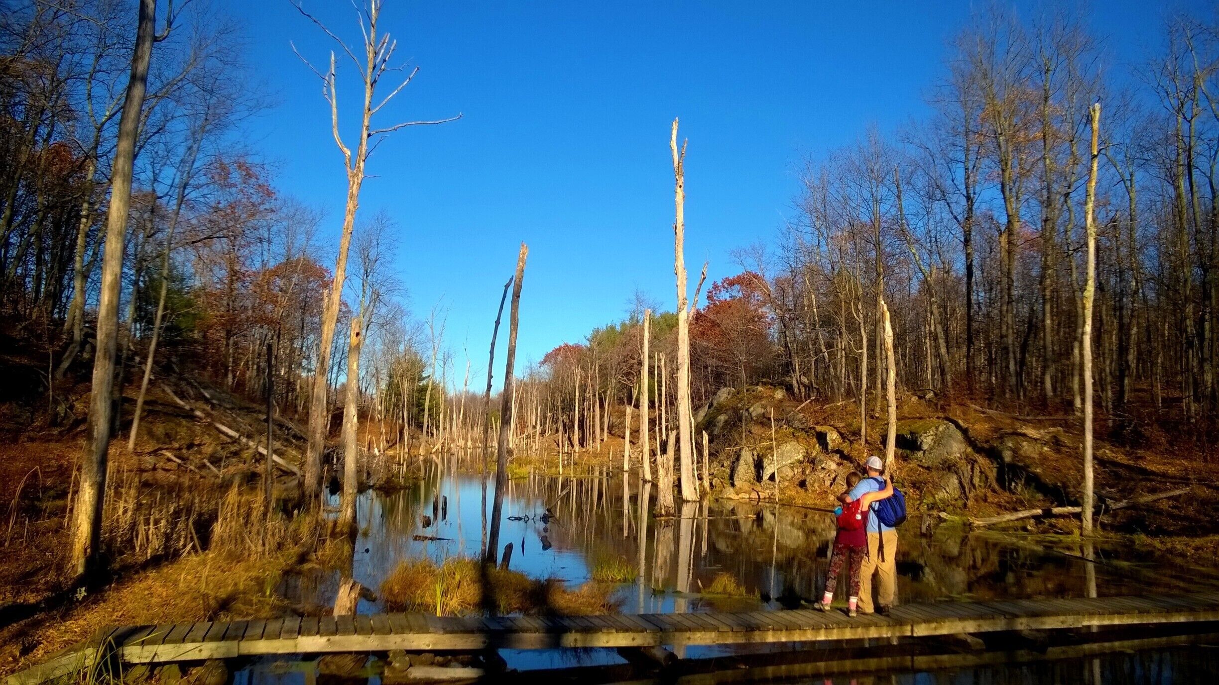 Hiking in Frontenac Provincial Park. #hiking #camping 