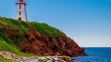 Un faro sobre un risco cubierto de hierba, junto al mar.