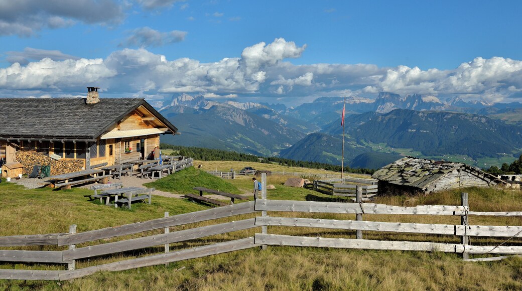The Platzer mountain hut on the "Barbianer Alm" with the Dolomites of Val Gardena.