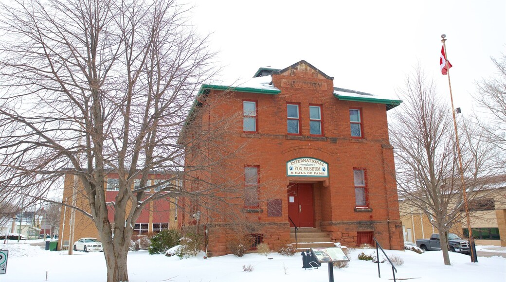 International Fox Museum and Hall of Fame which includes snow