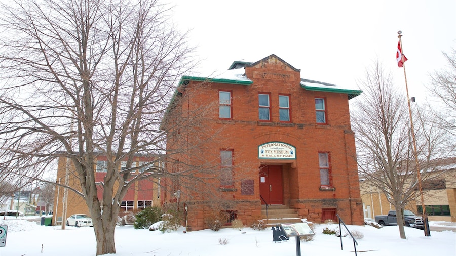 International Fox Museum and Hall of Fame which includes snow