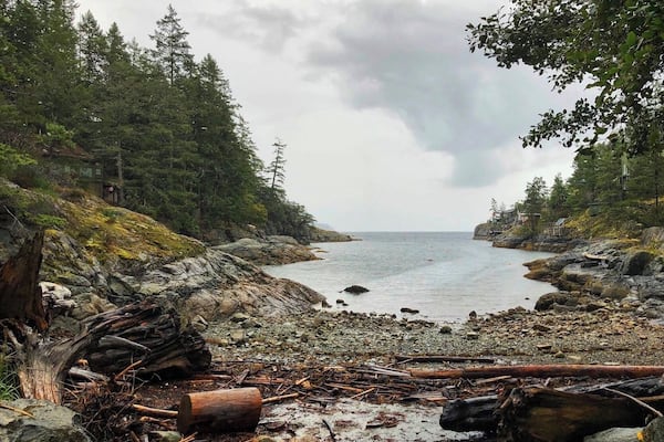 A rocky shoreline with dense forest on both sides and a cloudy sky.