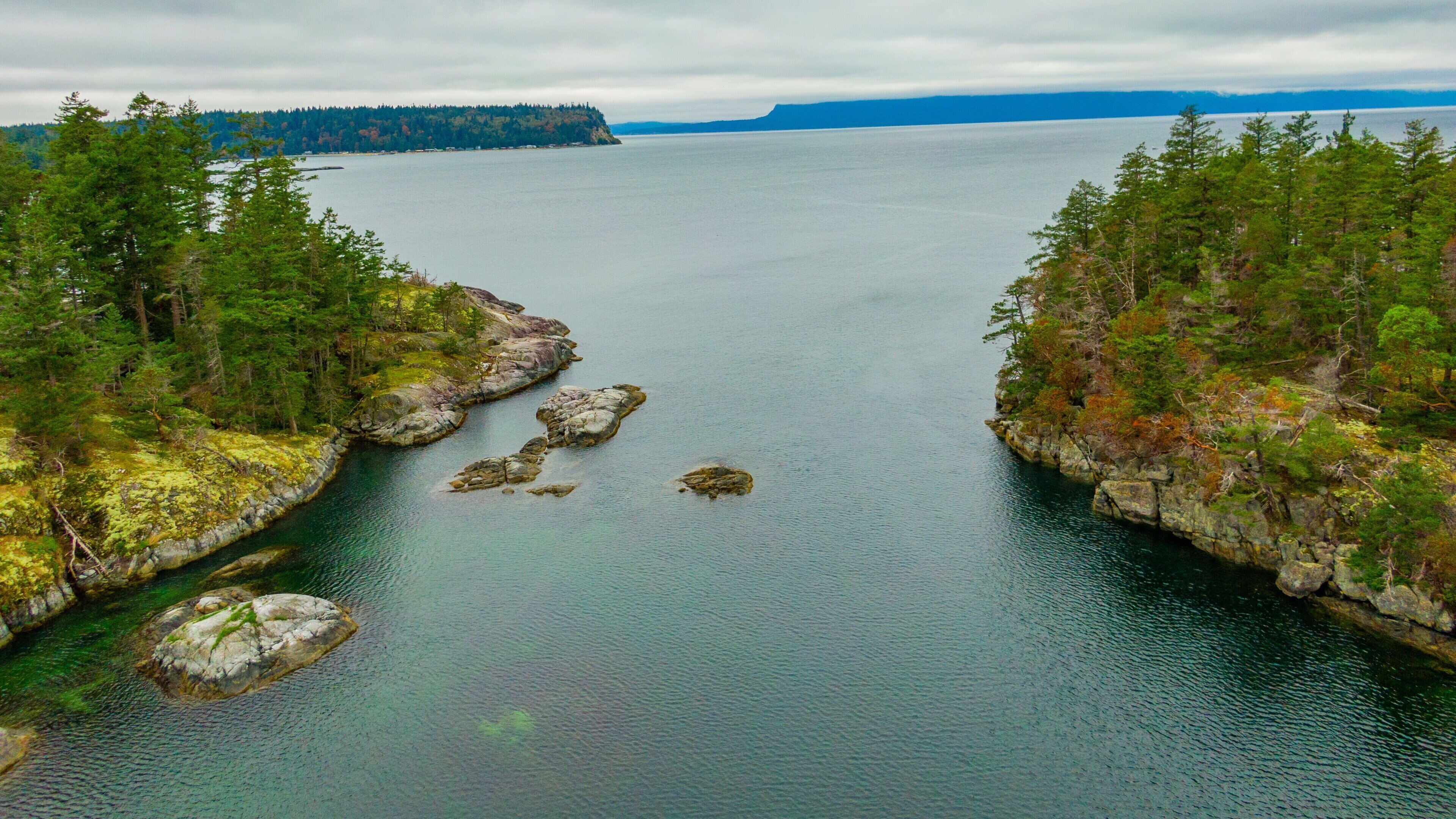 A calm bay with rocky shores and dense forests.