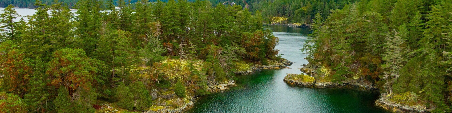 Smuggler Cove Marine Provincial Park showing landscape views, forests and a lake or waterhole