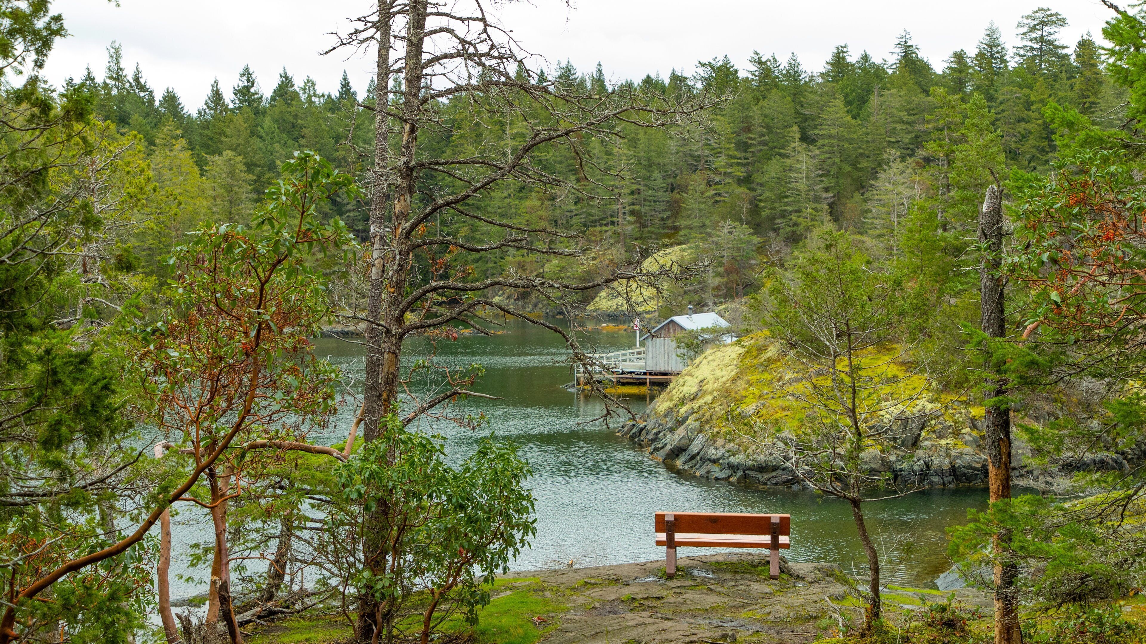 Smuggler Cove Marine Provincial Park which includes forest scenes and a lake or waterhole