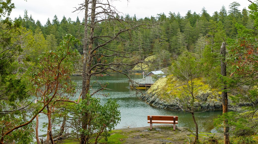 Smuggler Cove Marine Provincial Park which includes forest scenes and a lake or waterhole