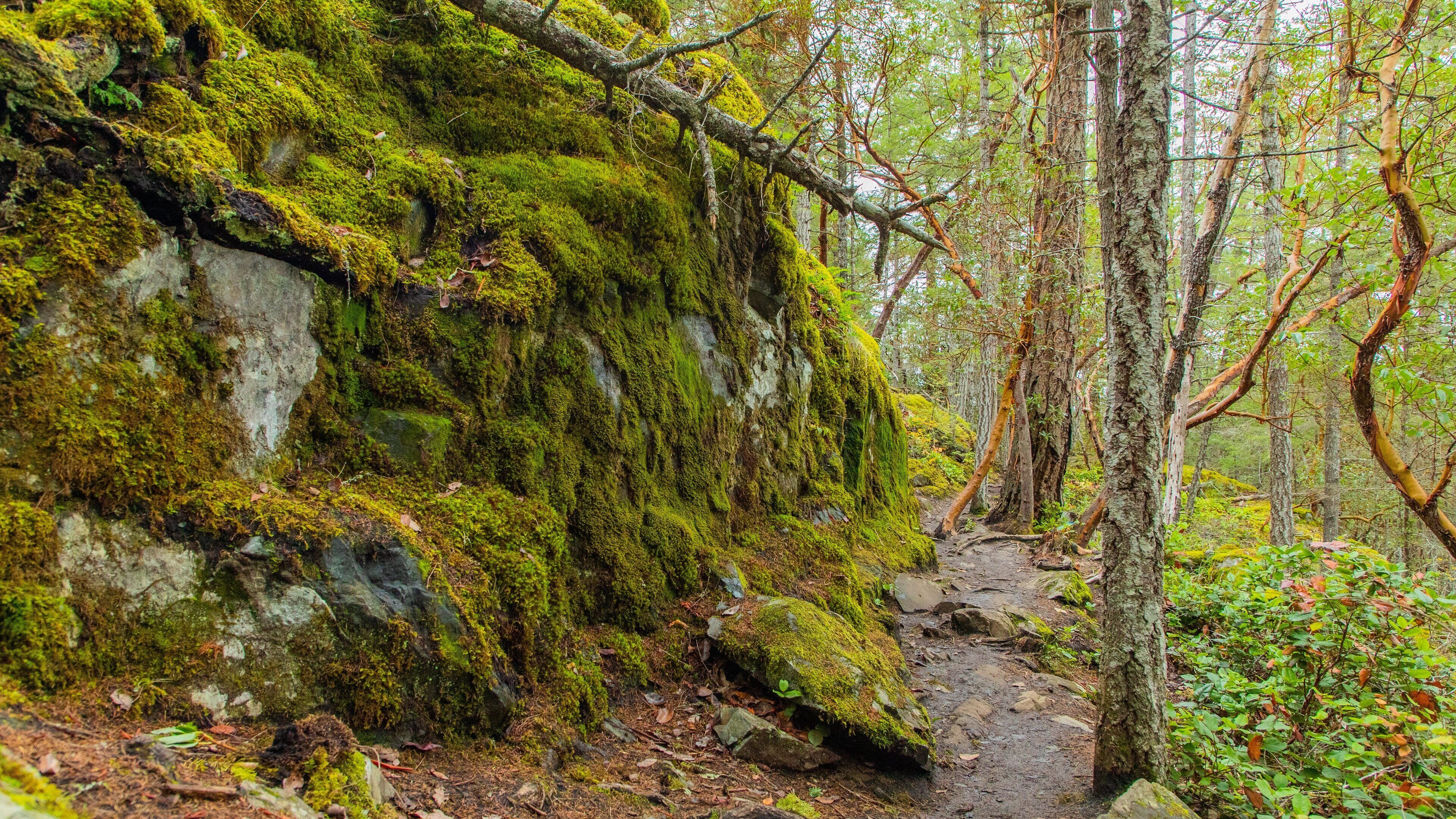 Smuggler Cove Marine Provincial Park featuring forests