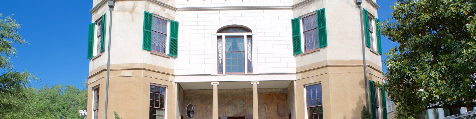 Owens-Thomas House showing a garden, a fountain and a house