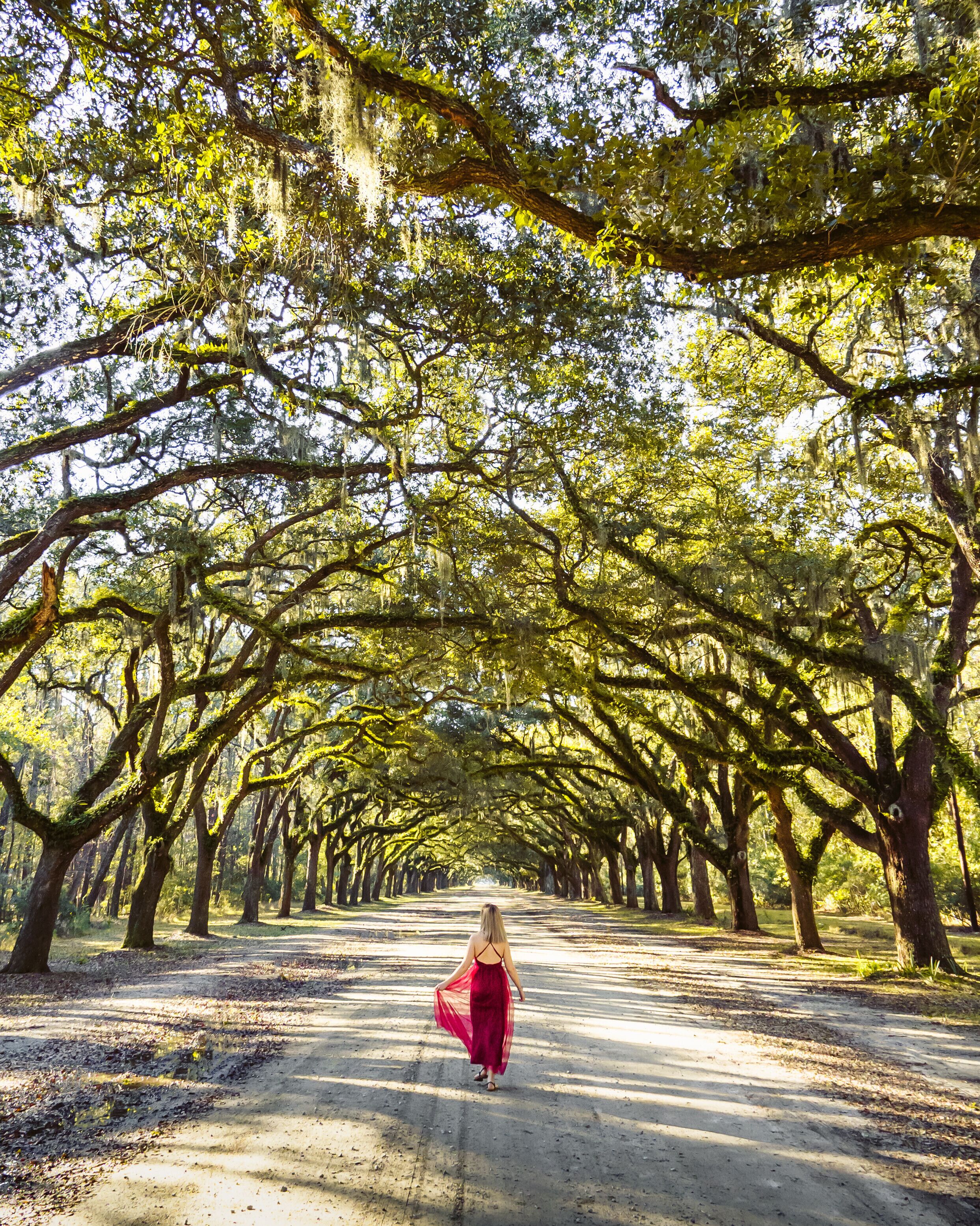 Roads like this are absolutely mesmerizing. We got there just in time as the crowds began to gather shortly after.