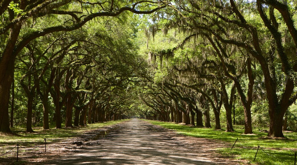 Wormsloe Historic Site which includes a park