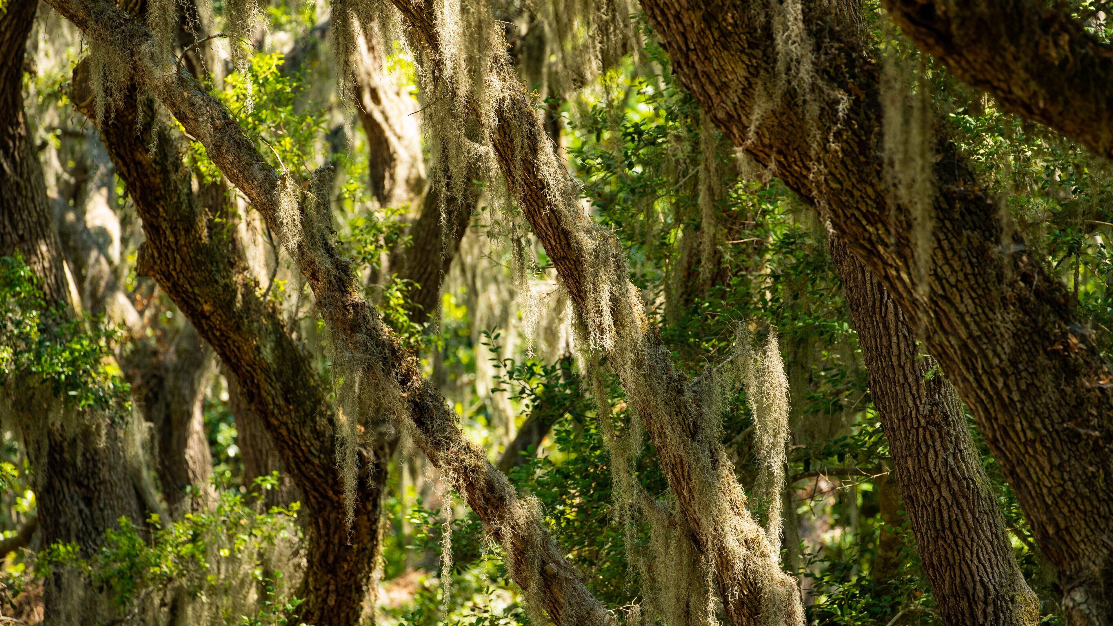 Isle of Hope Historic District which includes a park