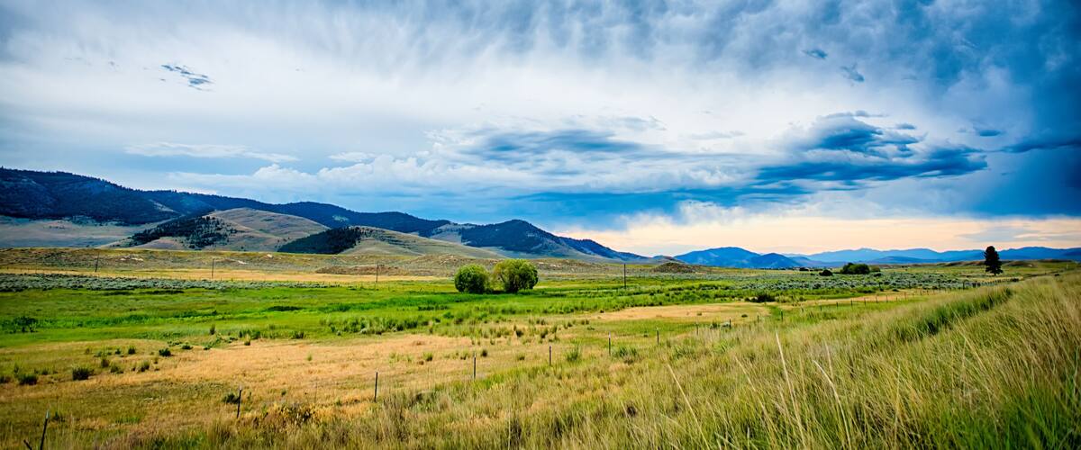 A vast landscape with rolling hills, a clear sky, and a solitary tree in the foreground.